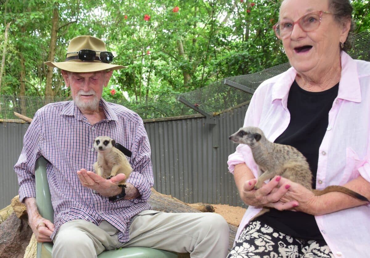 Clyde And Jennifer Meet The Meerkats