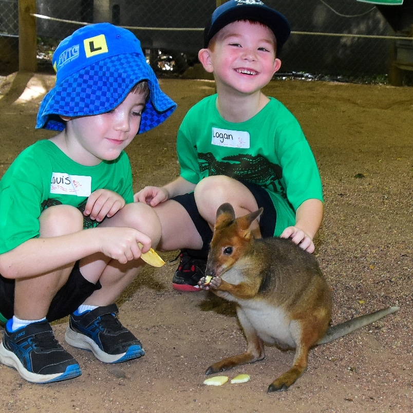 Junior Rangers Meet Benji The Pademelon