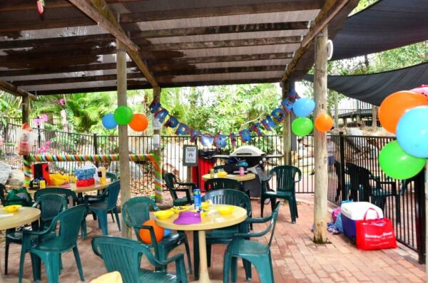 Pool Area Decorated