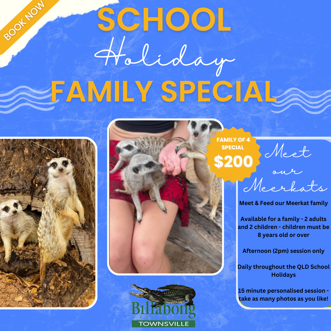 Meerkat School Holiday Promotion